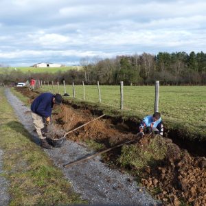 Chantier plantation Cantal (2)